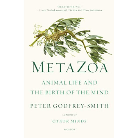 Metazoa: Animal Life and the Birth of the Mind Metazoa: Animal Life and the Birth of the Mind
