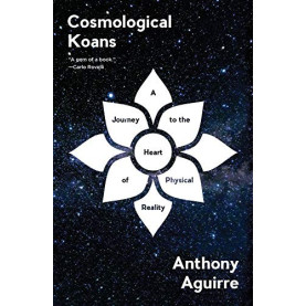 Cosmological Koans: A Journey to the Heart of Physical Reality 