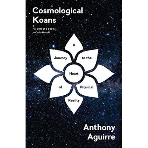 Cosmological Koans: A Journey to the Heart of Physical Reality 