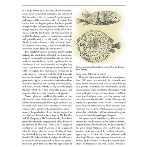 On the Origin of Species: The Illustrated Edition