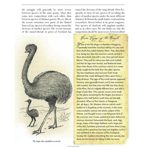 On the Origin of Species: The Illustrated Edition